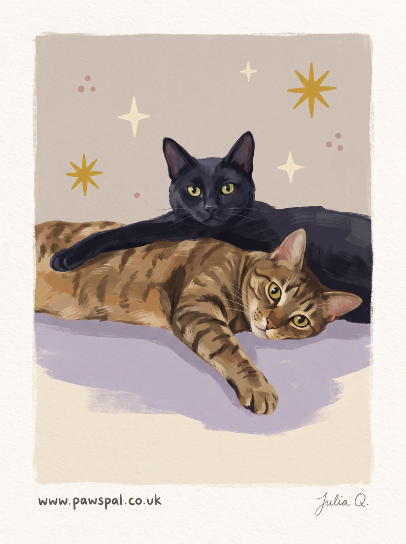 Julia Q. custom portrait of a black cat and tabby cat with a muted background and subtle star motifs.