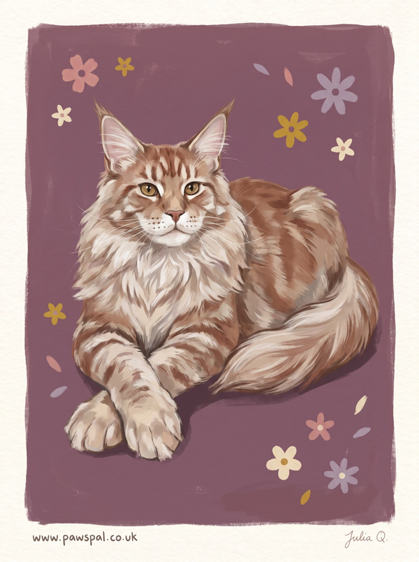 Custom Digital Pet Portraits, Hand-Drawn | PawsPal