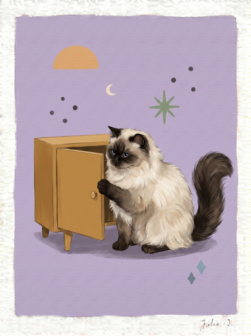 Julia Q. Himalayan cat illustration showing simplified long fur shapes, texture, and directional brushwork.