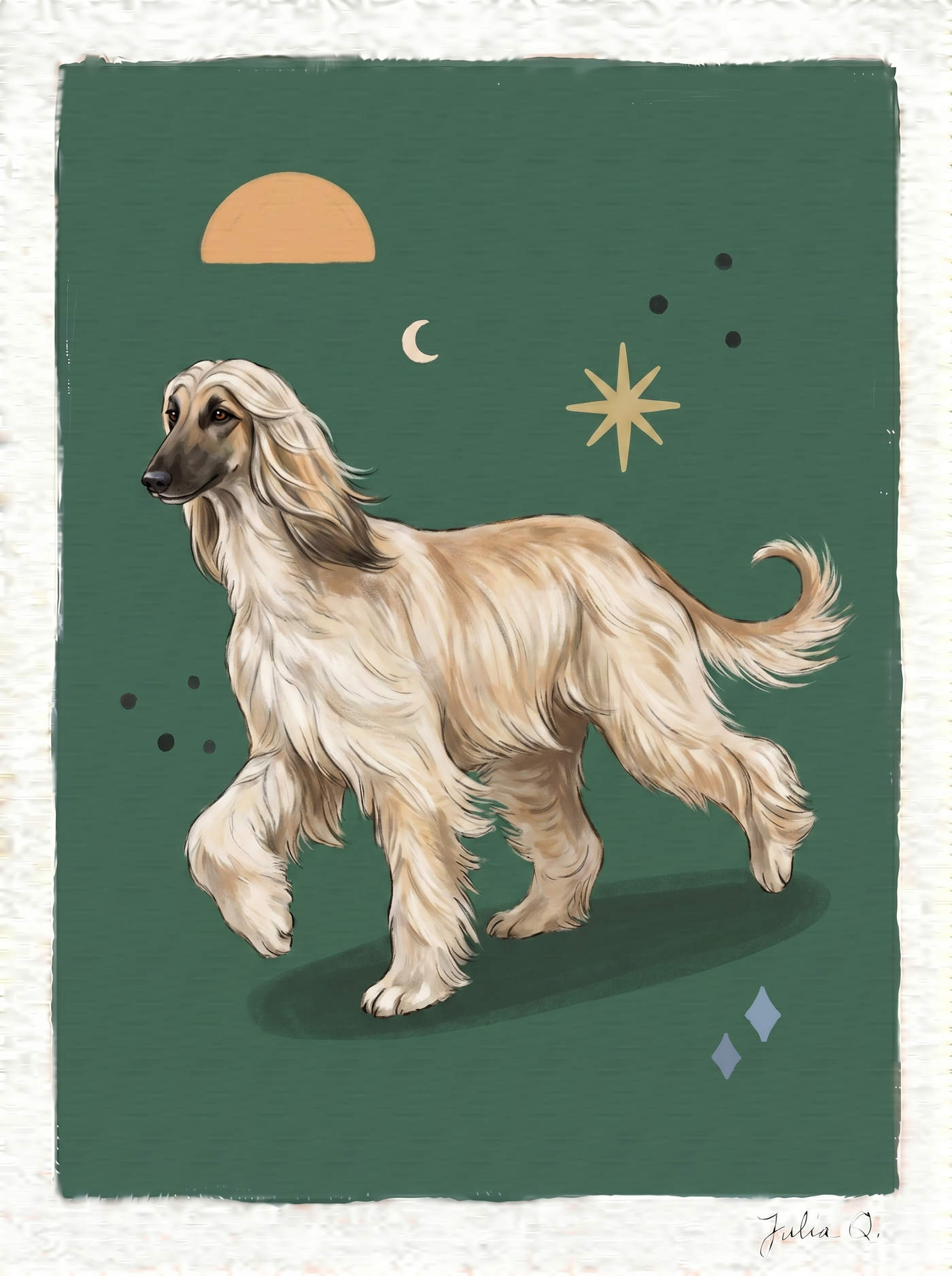 Julia Q. Afghan hound illustration with expressive, hand-drawn outlines and a lively walking pose.