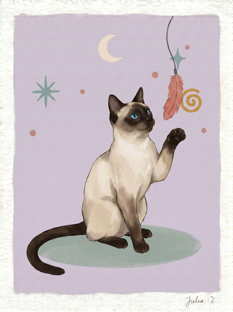Julia Q. Siamese cat illustration using a restrained palette of lavender, cream, teal, and coral.