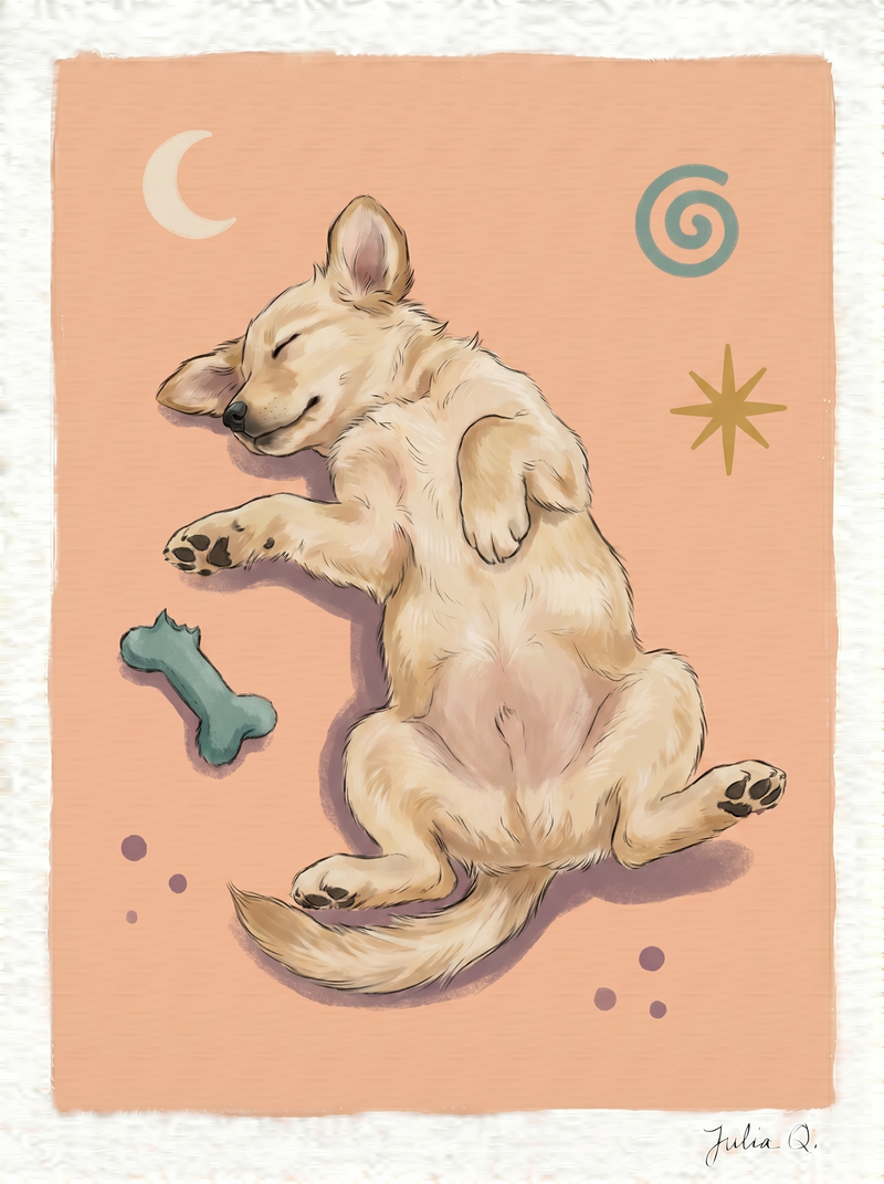 Julia Q. golden puppy illustration showing warm peach tones alongside cool teal and lavender accents.