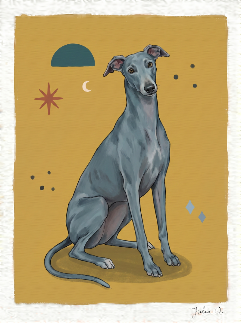 Custom digital greyhound portrait in an awkward sitting pose