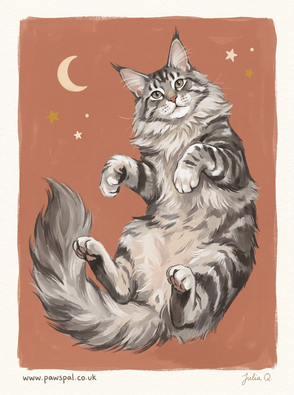 Custom Digital Pet Portraits, Hand-Drawn | PawsPal